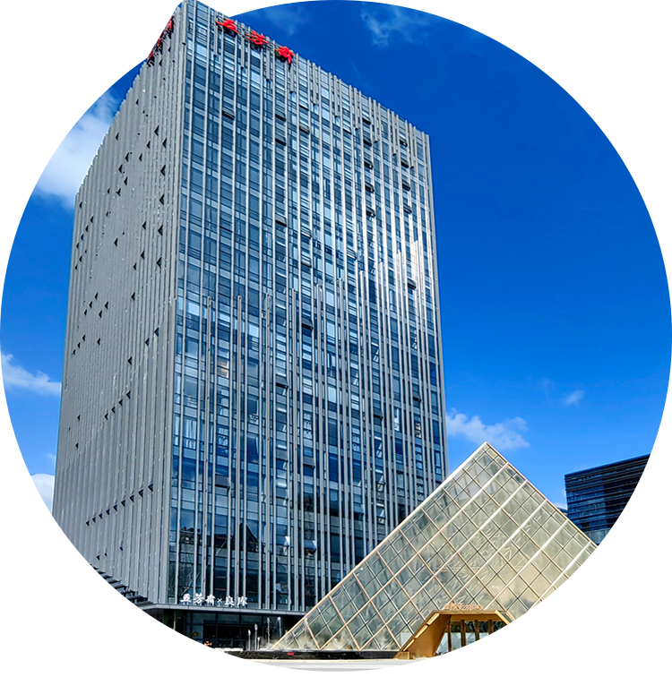 五芳齋實業(yè)